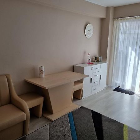 Apartament Mon Jardin - Iasi公寓 外观 照片