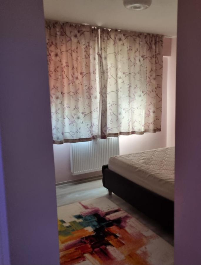 Apartament Mon Jardin - Iasi公寓 外观 照片