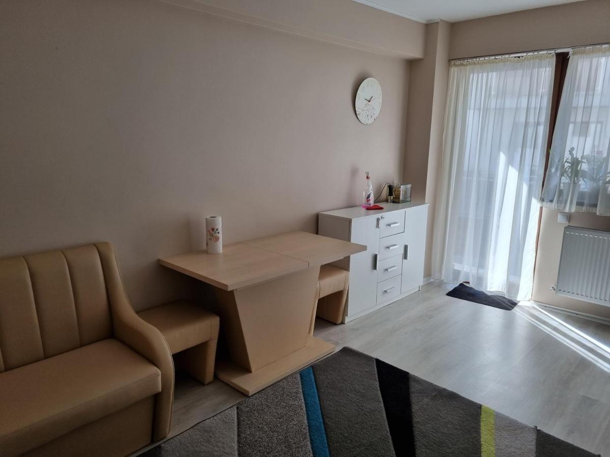 Apartament Mon Jardin - Iasi公寓 外观 照片